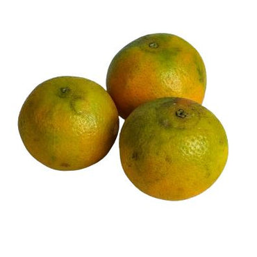 Pixie Oranges per kg at zucchini
